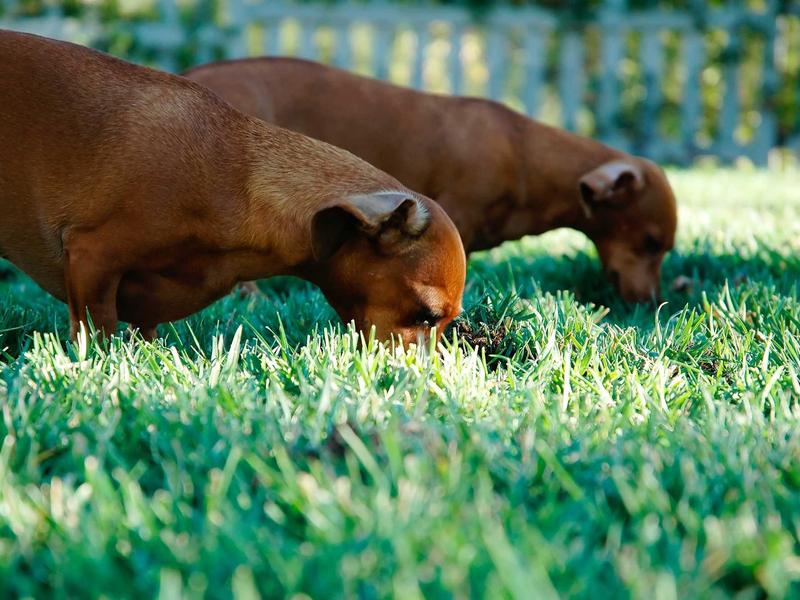 sudoku swordfish screenshot 1